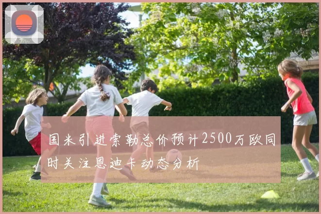 国米引进索勒总价预计2500万欧同时关注恩迪卡动态分析